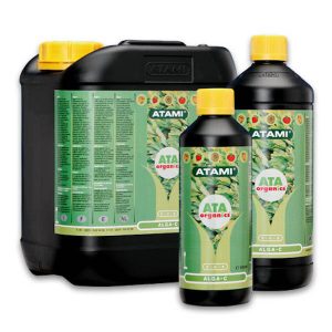 ALGA - C atami b&#39;cuzz