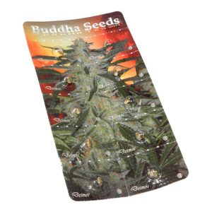 Auto Deimos feminized Buddha Seeds