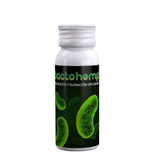 BacTohemp Agrobacterias