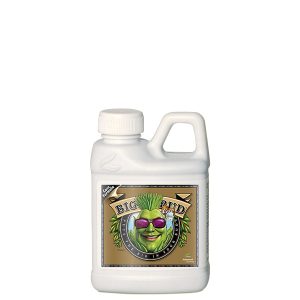 Big Bud Coco Flüssigkeit Advanced Nutrients