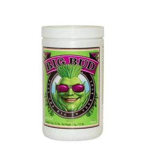 Big Bud Powder 1 Advanced Nutrients