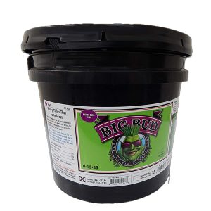 Big Bud Powder 10 Advanced Nutrients