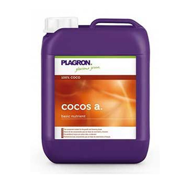 Coco-a-5-lt-dispute.jpg Coco-a-5-lt-dispute.jpg
