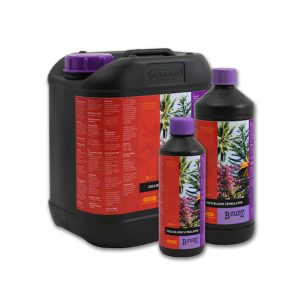 Coco Bloom Stimulator Atami B'cuzz