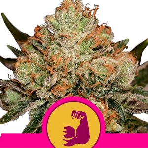 Hulkberry feminisierte Royal Queen