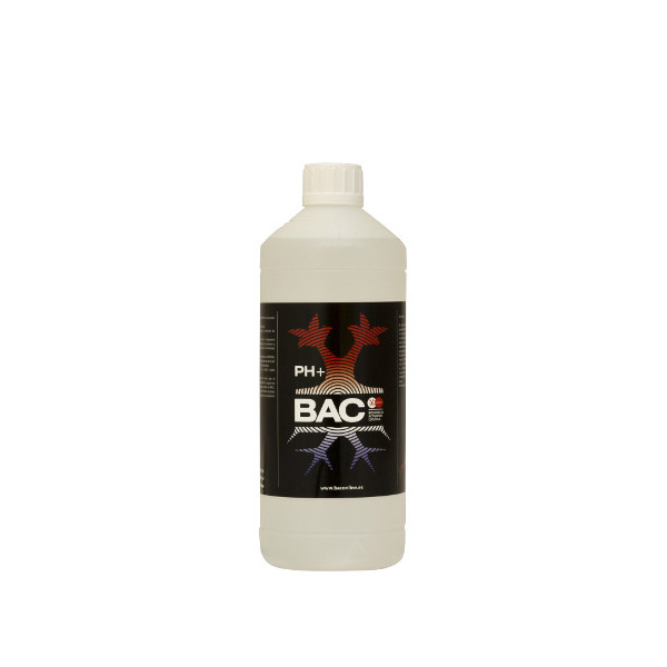 Ph-up-1-ltBAC.jpg Ph-up-1-ltBAC.jpg