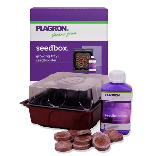 Seedbox-Planton.jpg Seedbox-Planton.jpg