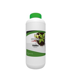 Terra 1 Komponente 1 lt. Hy-pro