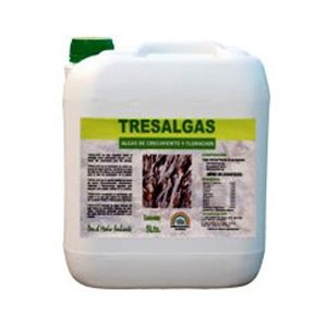 Drei feste Algen 5 kg
