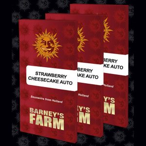 Auto Strawberry Cheesecake feminizada Barney's