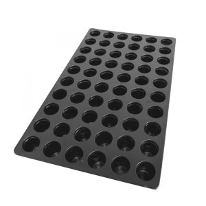 Internal Rootit Tray 60 Alveolos