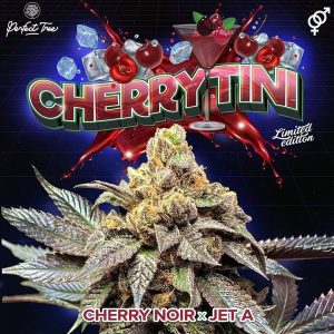 Cherrytini S1 - 6 U. Perfect Tree FEM