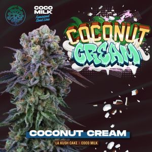 Crème de coco 6 U. Perfect Tree FEM
