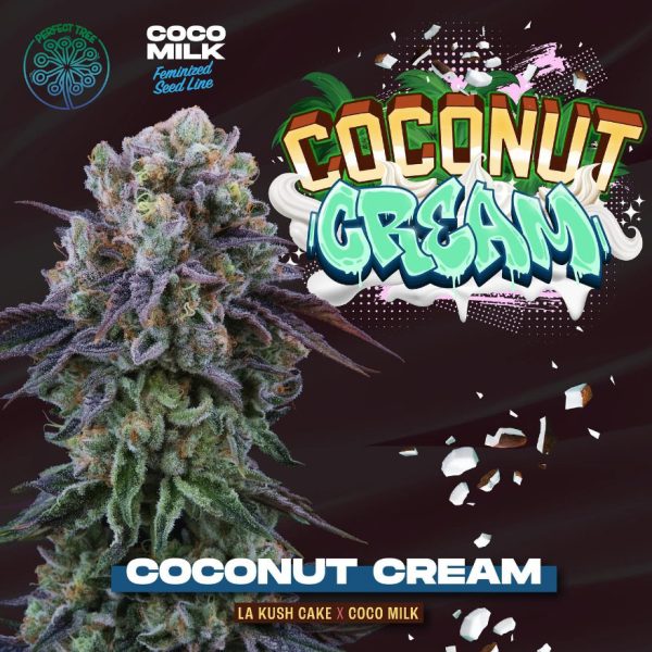 Kokosnuss-CREAM-6-U-FEM-PERFT-TREE.JPG