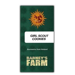 Girl Scout Feminized Cookies Barney&#39;s Farm