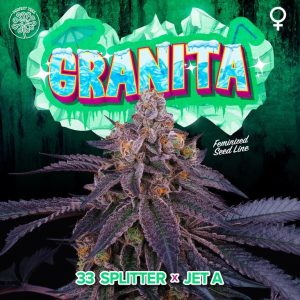 Granita 6 U. Perfect Tree FEM
