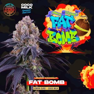 Le citron à la noix de coco "Fat Bomb" 6 U. Perfect Tree FEM
