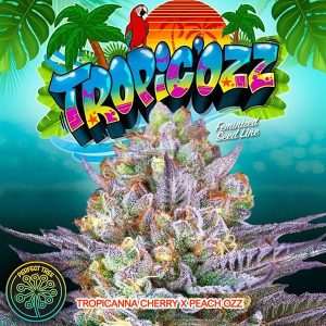 Tropic&#39;ozz 6 u. Fem Perfect Tree