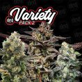 Variety-Pack-2-6-UD-FEM-elev8-seeds.jpg