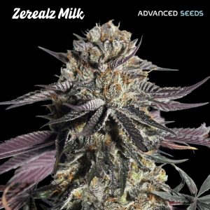 Zerealz Milk fem. Advanced Seeds