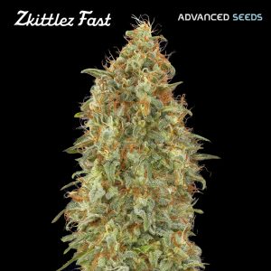 Zkittlez Fast fem. Advanced Seeds