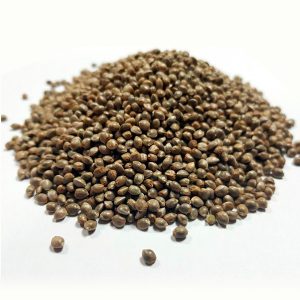 Auto Gorilla x Auto Somango  Granel [100 unidades]