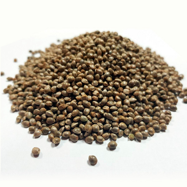 Auto-Somango-Granel-100-ud.jpg Auto-Somango-Granel-100-ud.jpg