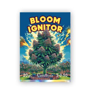 Bloom Ignitor kann nicht technisch