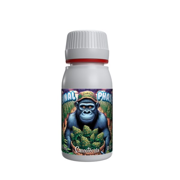 Final-Phase-60-ml-Cannotecnia.jpg