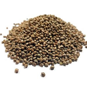 Kosher Kush Bulk [100 Einheiten]