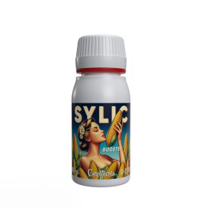 Sylic Booster kann nicht