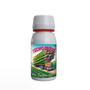 Tecno Bloom kann nicht technisch