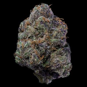 The Wolf feminizada Cookies Seed Bank