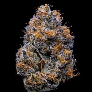 Velvet Cream feminizada Cookies Seed Bank