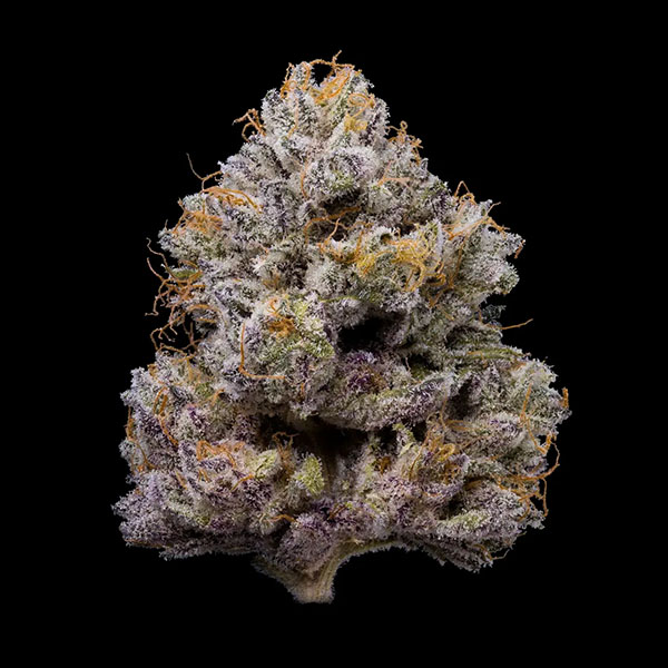 ZZ4-3-u-fem-Cookies-Seed-Bank.jpg ZZ4-3-u-fem-Cookies-Seed-Bank.jpg