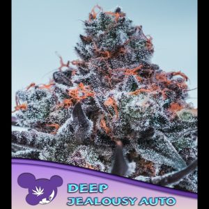 Auto Deep Jealousy feminisiert Anesia Seeds