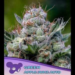 Auto Green Apple Juice feminisiert Anesia Seeds