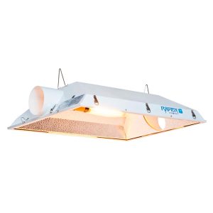Raptor XXL 200 mm Reflektor.
