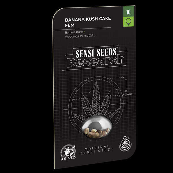 Banana-Kush-Cake-3-u-fem-Sensi-Seeds-Research.jpg Banana-Kush-Cake-3-u-fem-Sensi-Seeds-Research.jpg