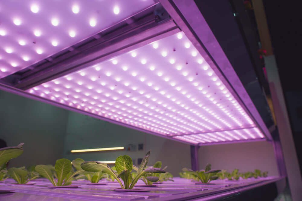 Diferencias reales entre LED baratos y LED premium