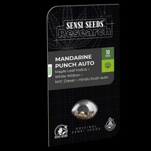 Mandarine Punch fem. Sensi Seeds Research