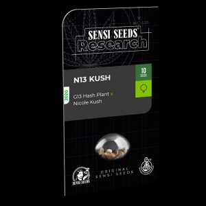 N13 Kush fem. Sensi Seeds Research