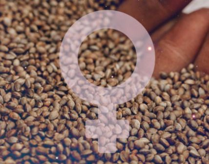 Captura de pantalla 2026-01-04 103340